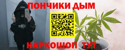 молекула духа Можга