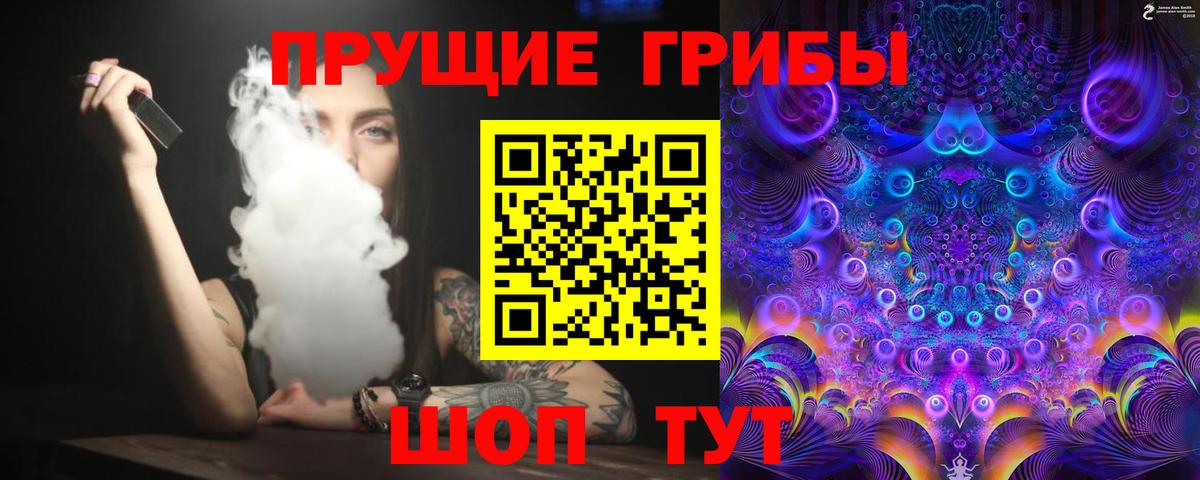 Галлюциногенные грибы Psilocybine cubensis  Вход с VPN  Серов 