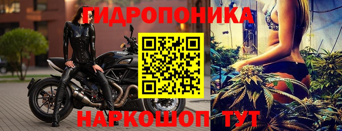 Бошки Шишки OG Kush Серов